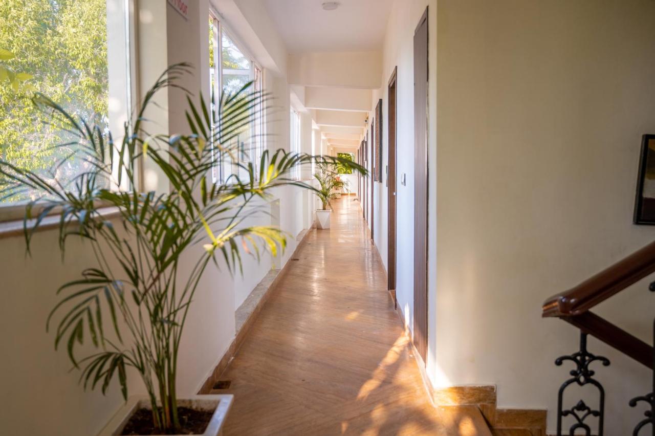 La Oasis By Meraden ,Goa Анжуна Экстерьер фото